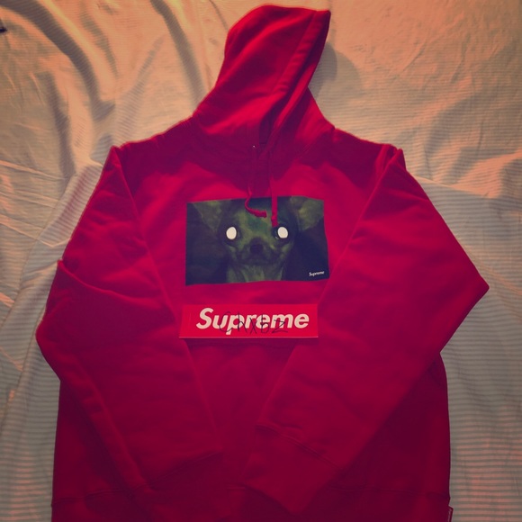 Supreme Chihuahua Hoodie 2025 | www.takertrailers.ee